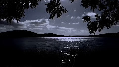 音乐短片 - 绿袖子(口哨)