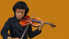 欧美群星 - Fiddler Rhapsody And Scherzo