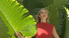 音乐短片 - Journey Of Color