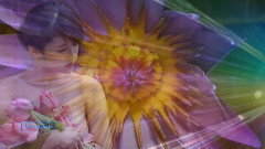 音乐短片 - Flor Solitaria