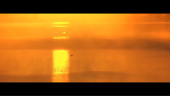 音乐短片 - The Lake