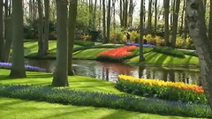 音乐短片 - 荷兰春天的风景