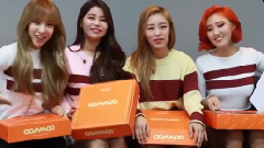 MAMAMOO - MOOMOO木木官方俱乐部产品介绍 实力傻白甜