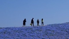 音乐短片 - Hobbit Intro Theme