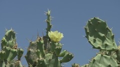 音乐短片 - Dream The Relaxation