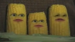 音乐短片 - 吓坏了玉米棒子