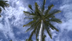 音乐短片 - 想念的日子