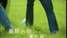 美丽的你