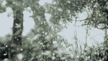胡夏 - 燃点