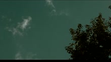 永邦 - 野百合也有春天