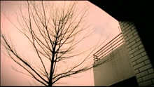 蔡依林 - 好想你
