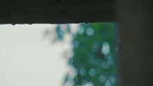 钟汉良 - 我说的很少