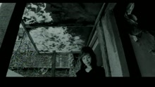 彭佳慧 - 情歌手