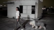 莫文蔚 - 我明白他