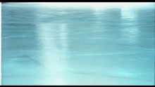 莫文蔚 - 黑雨