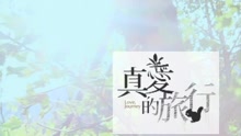 林绫 - 真爱的旅行