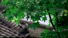 费玉清 - 屋簷下的思念