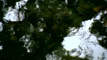 费玉清 - 月下待杜鹃不来