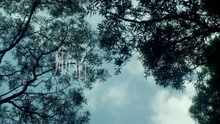 陈柏宇 - 航拍