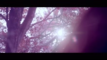 潘映竹 - 捨不得