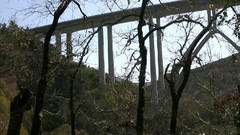 音乐短片 - 贝多芬第二交响曲