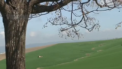 音乐短片 - 安达卢西亚