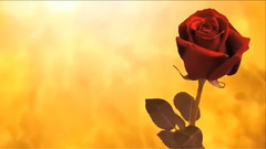 音乐短片 - To Light (Original Mix)