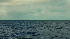 音乐短片 - Sea Sky