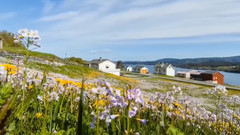 音乐短片 - Forever You And I