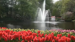 音乐短片 - 迷走