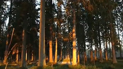 音乐短片 - 瑞典航拍Henning Sandström