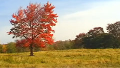 音乐短片 - 新英格兰旅游视频指南