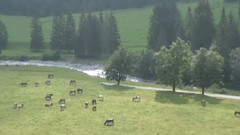 音乐短片 - 瑞士伯尔尼高原 格罗斯沙伊代格