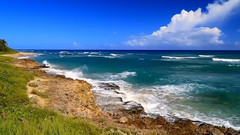 音乐短片 - Speak Softly Love