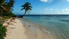 音乐短片 - Carino