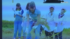 AKB48,NGT48 - NGT48「新潟の新米のように日本一に」