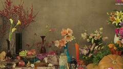 音乐短片 - 食品工作室