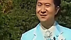 绿茶 - 两只大象