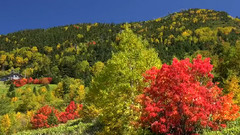 音乐短片 - 日本志贺高原秋冬美景