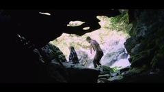 Fences - Buffalo Feet