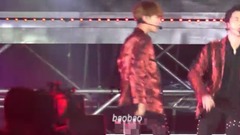 EXO,边伯贤(EXO) - Monster