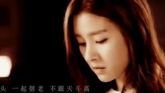 天梯(苏秋AU)
