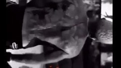 少女时代,太妍(少女时代) - 泰妍Snapchat&ins 2小时前更新一则