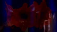 The Psychedelic Furs - Don't Be A Girl