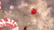 Bianca Ryan - Why Couldn't It Be Christmas Everyday? (Video)