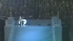 十五的月亮