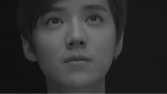 张艺兴(EXO),鹿晗,边伯贤(EXO),朴灿烈(EXO),吴世勋(EXO) - 葬塔