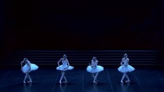 音乐短片 - 天鹅湖