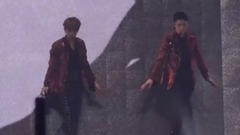 EXO,EXO-K,边伯贤(EXO) - Wolf