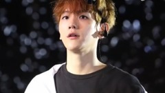 EXO,EXO-K,边伯贤(EXO) - 为什么喜欢伯贤?